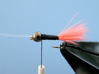 Bullet Step 2