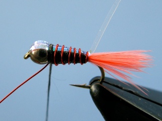 Bullet Step 4